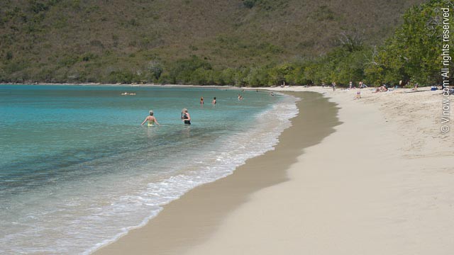 Francis Bay Beach St. John USVI: A Tropical Paradise Awaits