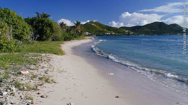 Grapetree Beach St. Croix: Your Ultimate Guide to Paradise