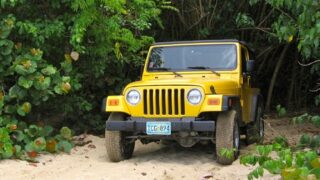 Jeep Rental / Car Rental